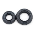 Dust Resistance FKM Double Lip Tc Skeleton Oil Seal